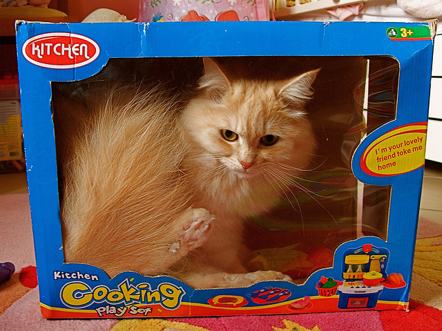  Photo  by Ourania /  CC BY-NC-SA 