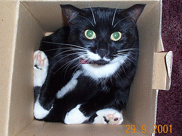  Photo  by Gary Kirk /  CC BY-ND 