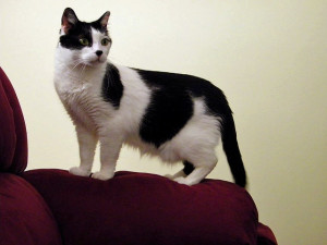  Photo  by Maia C /  CC BY-NC-ND 